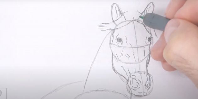 Как нарисовать лошадь: Прорисуйте голову