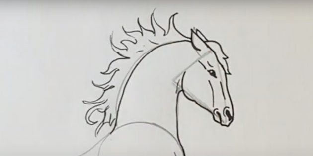 Как нарисовать лошадь: Нарисуйте гриву