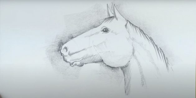 Реалистичная морда лошади
