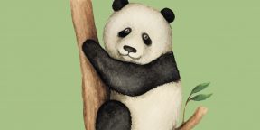 Как нарисовать панду. 21 несложный способ