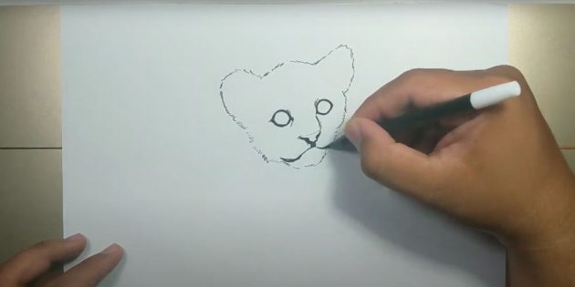 How to draw a tiger: 16 interesting ways