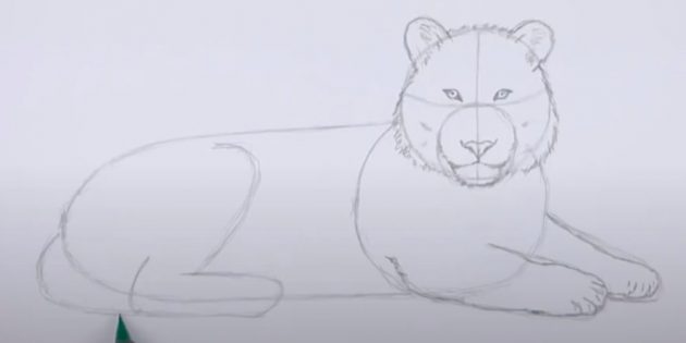 Как нарисовать тигра: Прорисуйте передние лапы