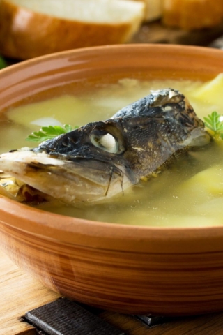 Уха из головы и хвоста щуки в домашних условиях