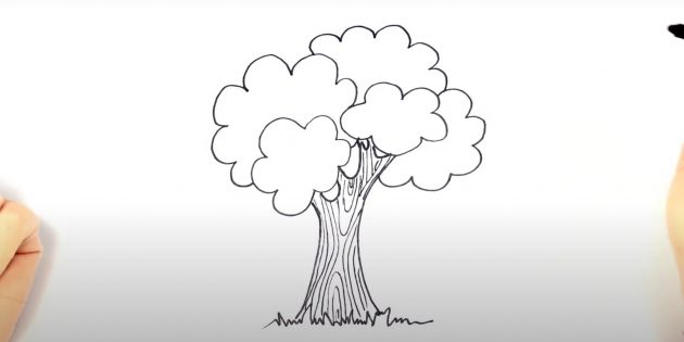 Как нарисовать дерево: нарисуйте кору