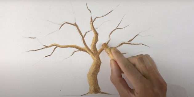 Как нарисовать дерево: закрасьте дерево