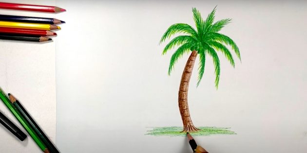 Как нарисовать дерево: закрасьте пространство под пальмой