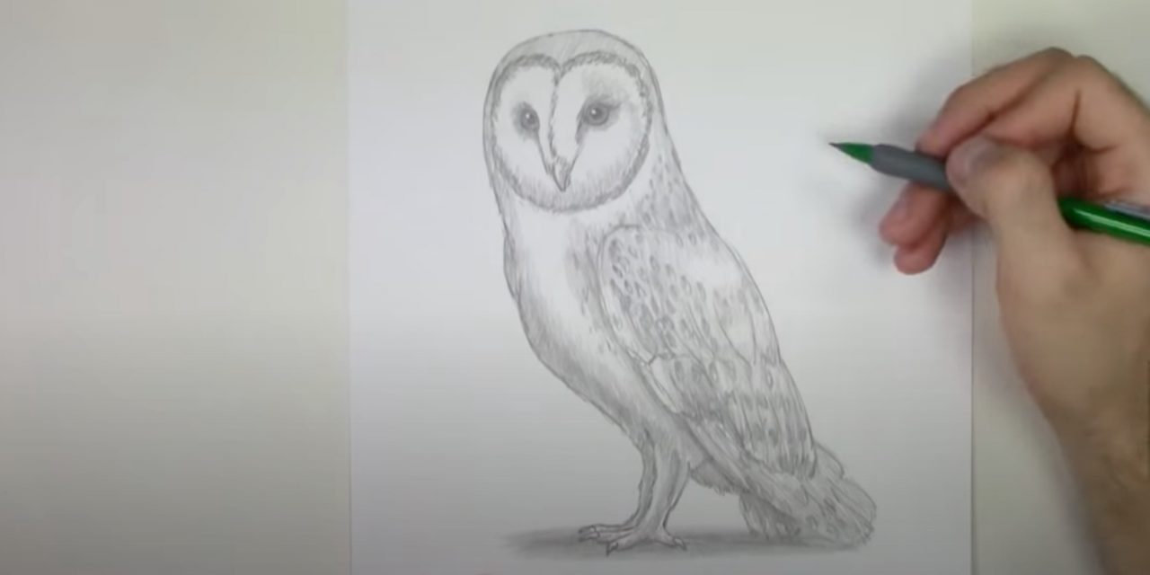 Нарисовать легкую сову