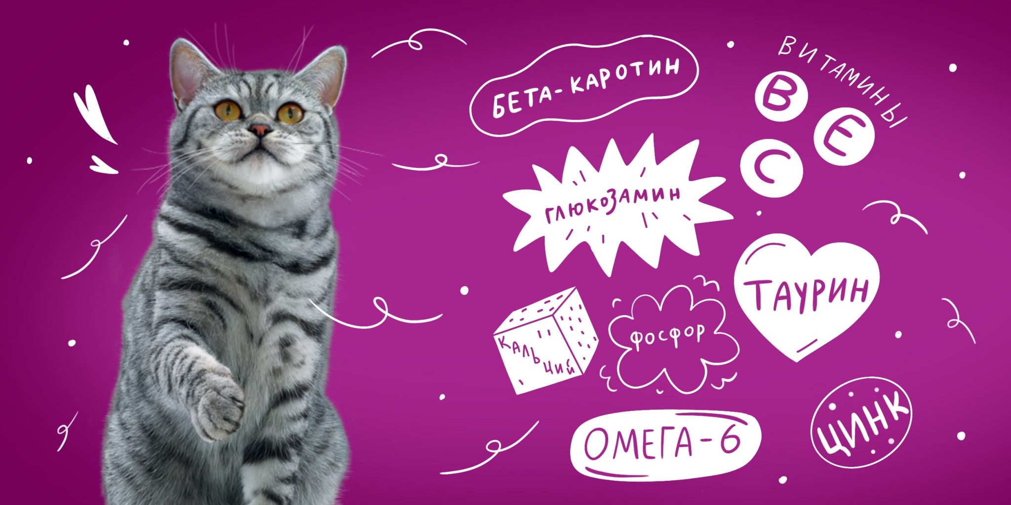 Реклама вискас 2021сказка про кошек