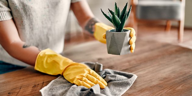 Что делать, чтобы реже вытирать пыль дома