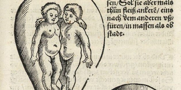 Дети Средневековья: близнецы в утробе, Евхарий Родион