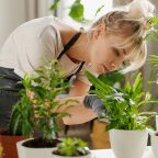 8 растений для тех, кому скучно выращивать суккуленты
