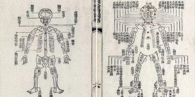 Описание человеческих костей в трактате Сун Цы 1247 года. Перепечатка иллюстрации от 1843 года