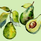 Как нарисовать авокадо: 26 классных вариантов