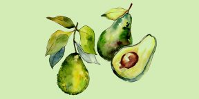 Как нарисовать авокадо: 26 классных вариантов