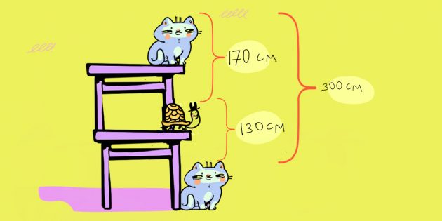 Задача про кота, стол и черепаху: решение