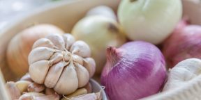 How to quickly get rid of the smell of garlic and onions from the mouth
