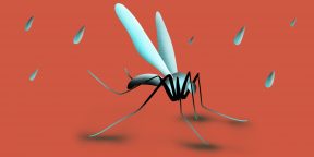 Что надо знать о малярии, от которой умирают сотни тысяч людей в год