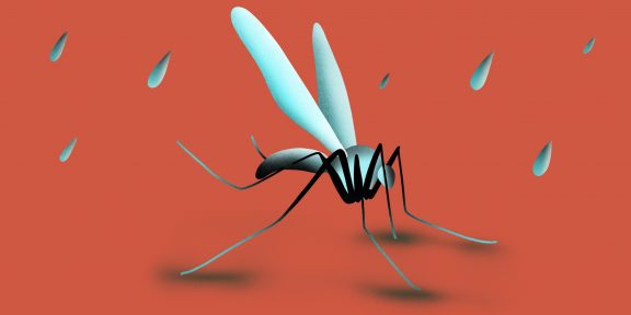 От малярии умирают сотни тысяч людей. Вот что это за болезнь