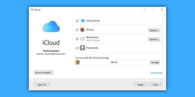 В приложении iCloud для Windows появился менеджер паролей