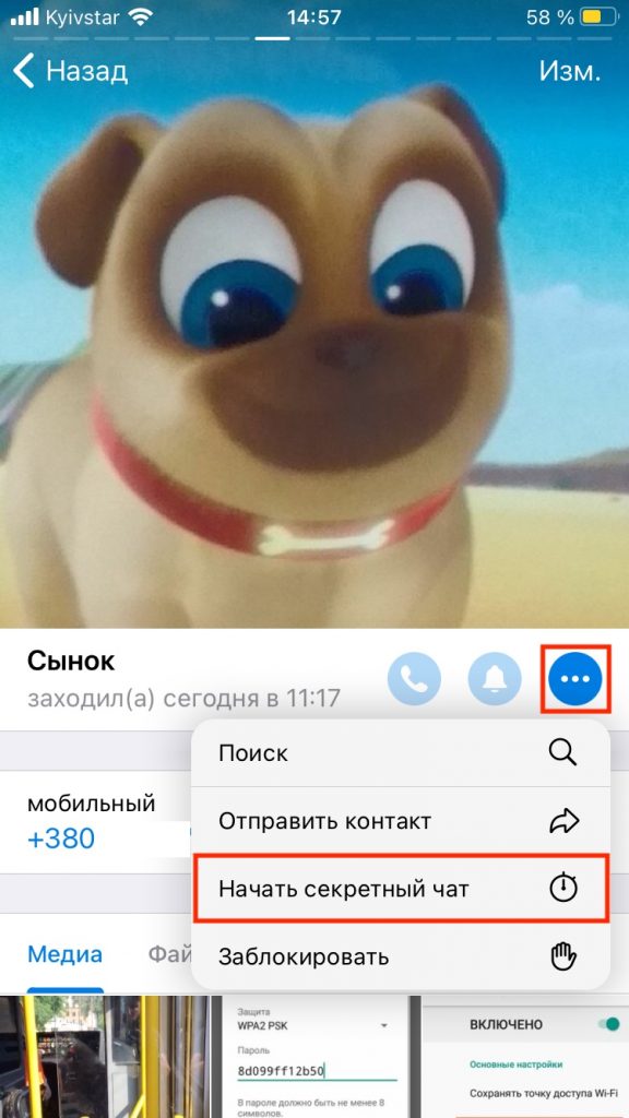 Telegram как отправить самоуничтожающееся фото