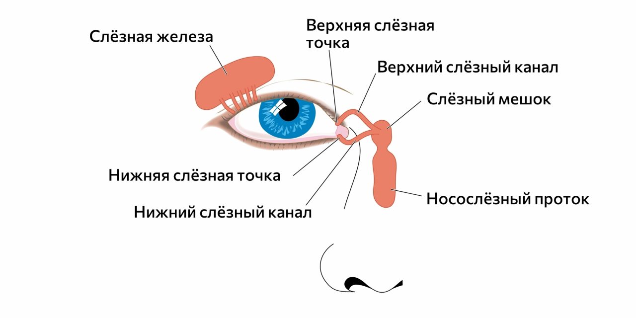 Почему слезятся глаза и что с этим делать — Лайфхакер