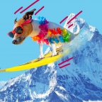 ТЕСТ: Экстремальная глажка или сёрфинг с собакой? Узнайте, в каком странном виде спорта вы бы преуспели!