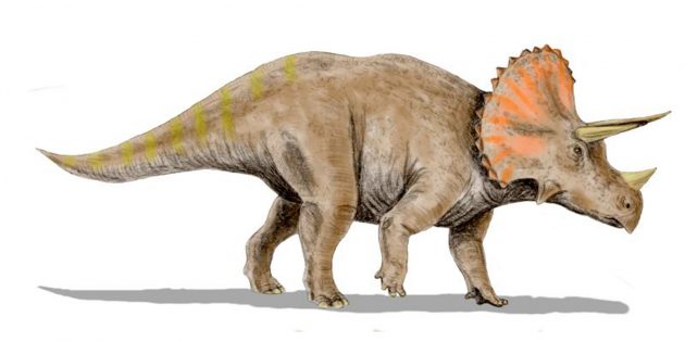 6 мифов о динозаврах, в которые вы верите абсолютно напрасно