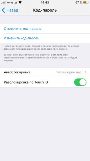 Как поставить пароль на Telegram на iPhone: разрешите разблокировку по Face ID или Touch ID