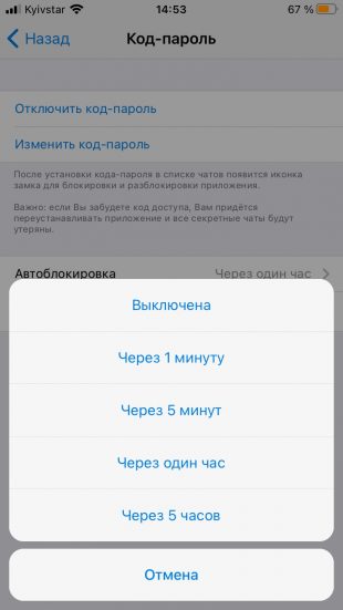 Как поставить пароль на Telegram в iOS: включите автоблокировку
