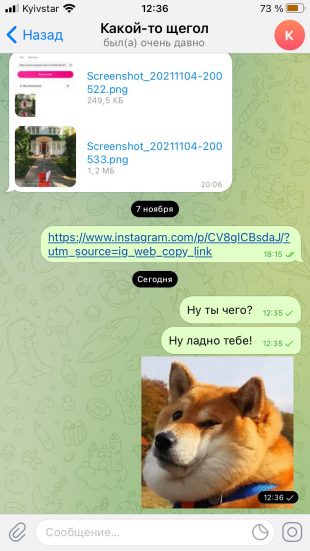 Как понять, что заблокировали в Telegram: проверьте отправку сообщений