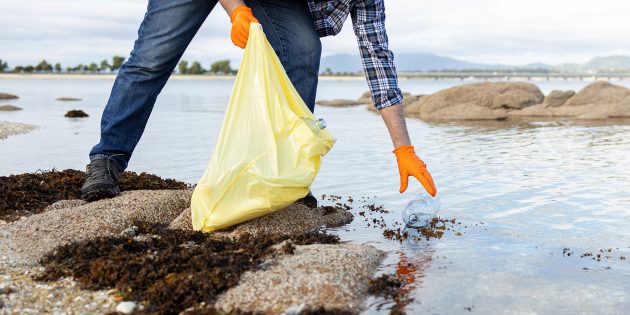 Бытовой мусор: что происходит с пластиком в океане