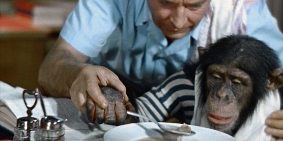 Шимпанзе в человеческой семье и трубачи на паровозе: 10 странных научных экспериментов