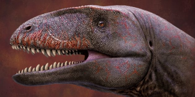 Необычные динозавры: улугбекзавр узбекистанис