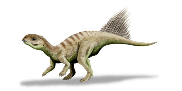 Необычные динозавры: чаоянозавр