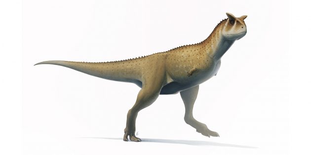 Необычные динозавры: карнотавр