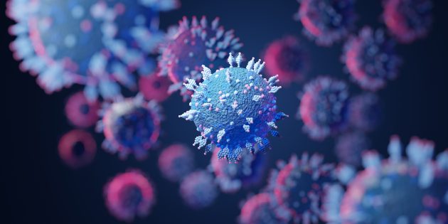 Новый опасный штамм коронавируса назвали «омикрон». Вот что о нём известно