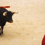 Как инвестору определить «бычий рынок» и воспользоваться этим