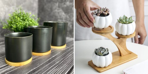 What to give mom for the New Year: a flower pot 