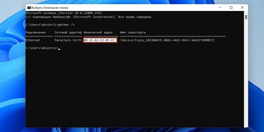 Как узнать MAC-адрес компьютера в Windows: введите команду getmac /v