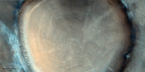 На Марсе обнаружили «гигантский пень»