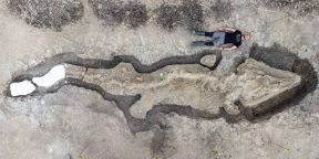 В Великобритании нашли огромного «морского дракона»