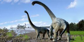 Палеонтологи обнаружили новый вид гигантских динозавров