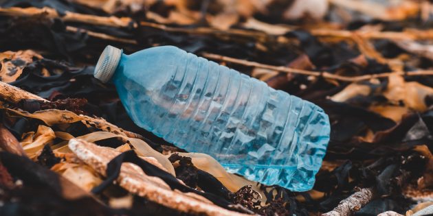 Странные научные факты: из пластиковых бутылок можно делать ароматизатор со вкусом ванили