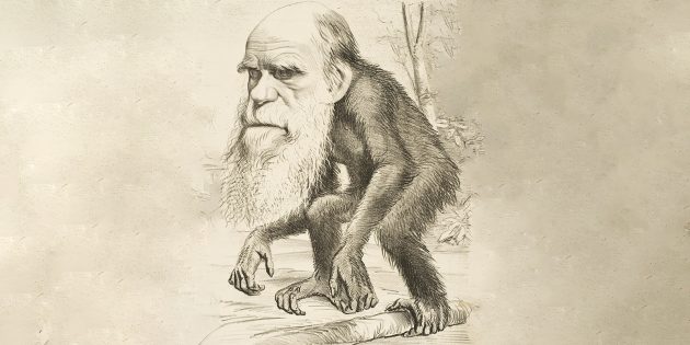 Эволюция и мифы: Дарвин в конце жизни не отрёкся от теории эволюции