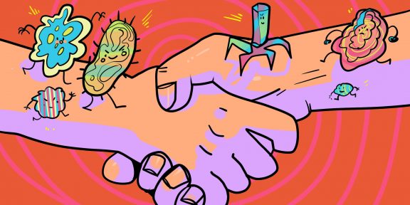 Чесотка, сифилис и другие болезни, которые можно подхватить при рукопожатии
