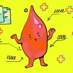 Как расшифровать общий анализ крови: норма показателей
