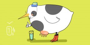 Почему конфеты «Птичье молоко» так называются