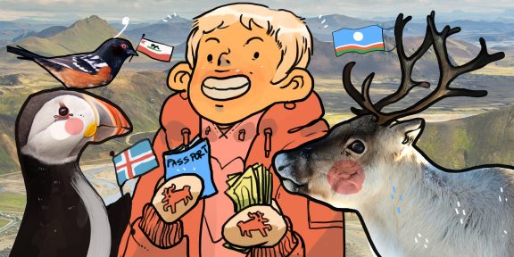 Как сэкономить в путешествии по Исландии, Якутии и Калифорнии: советы от трэвел-блогеров