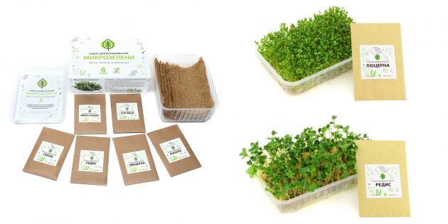 Скидки в российских магазинах: набор для выращивания микрозелени