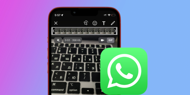 whatsapp ��������� ����� ����